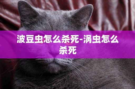 波豆蟲怎么殺死-渦蟲怎么殺死