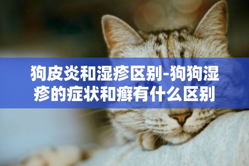 狗皮炎和濕疹區別-狗狗濕疹的癥狀和癬有什么區別