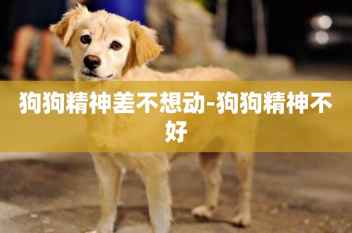 狗狗精神差不想動-狗狗精神不好