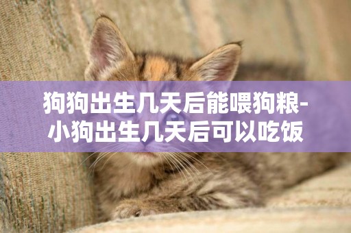 狗狗出生幾天后能喂狗糧-小狗出生幾天后可以吃飯
