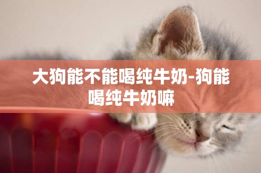 大狗能不能喝純牛奶-狗能喝純牛奶嘛