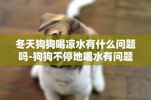 冬天狗狗喝涼水有什么問題嗎-狗狗不停地喝水有問題嗎