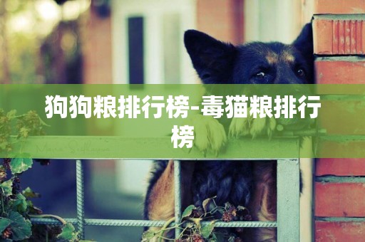 狗狗糧排行榜-毒貓糧排行榜