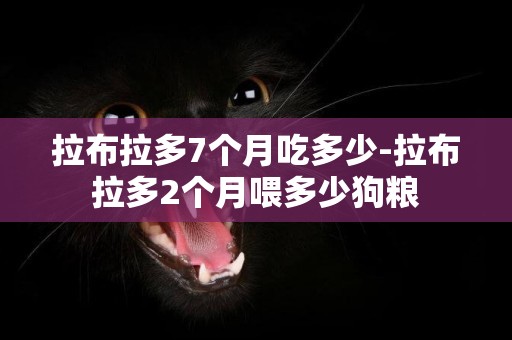 拉布拉多7個月吃多少-拉布拉多2個月喂多少狗糧