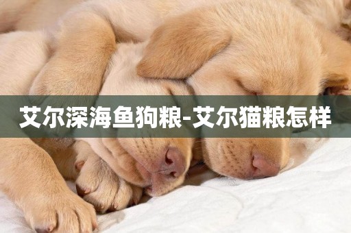 艾爾深海魚狗糧-艾爾貓糧怎樣