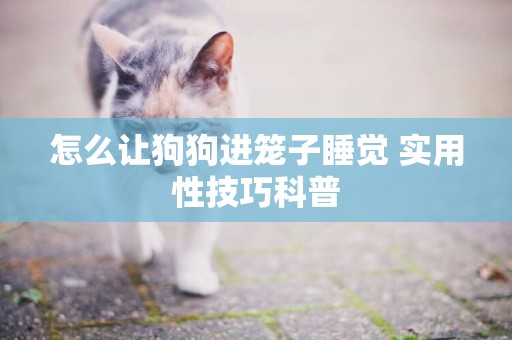 怎么讓狗狗進籠子睡覺 實用性技巧科普