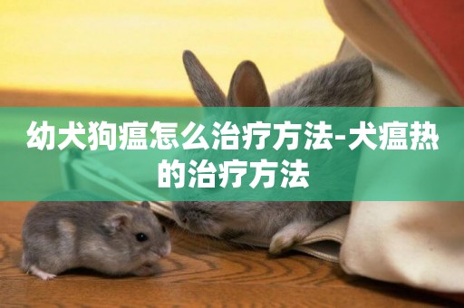 幼犬狗瘟怎么治療方法-犬瘟熱的治療方法