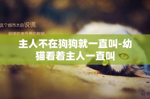 主人不在狗狗就一直叫-幼貓看著主人一直叫