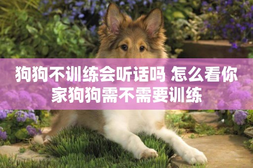 狗狗不訓練會聽話嗎 怎么看你家狗狗需不需要訓練