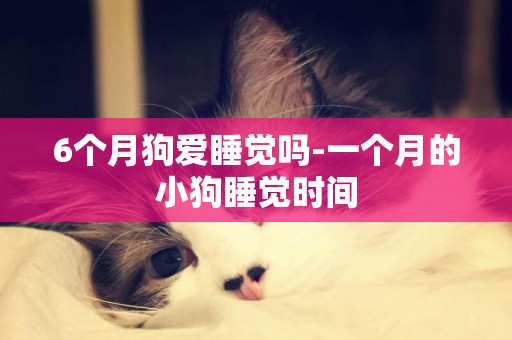 6個月狗愛睡覺嗎-一個月的小狗睡覺時間