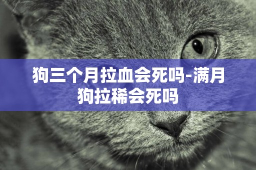 狗三個月拉血會死嗎-滿月狗拉稀會死嗎