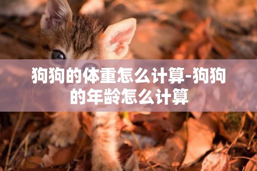 狗狗的體重怎么計算-狗狗的年齡怎么計算