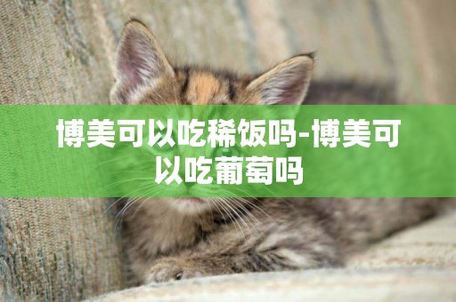 博美可以吃稀飯嗎-博美可以吃葡萄嗎