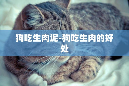 狗吃生肉泥-狗吃生肉的好處