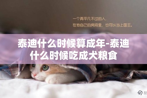 泰迪什么時候算成年-泰迪什么時候吃成犬糧食