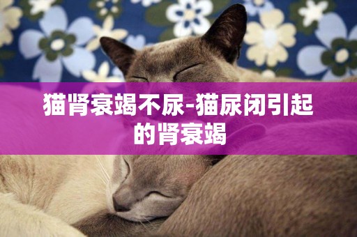 貓腎衰竭不尿-貓尿閉引起的腎衰竭