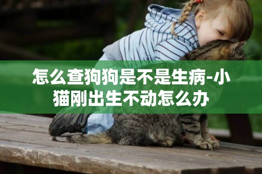 怎么查狗狗是不是生病-小貓剛出生不動怎么辦