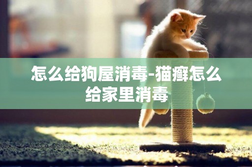 怎么給狗屋消毒-貓癬怎么給家里消毒