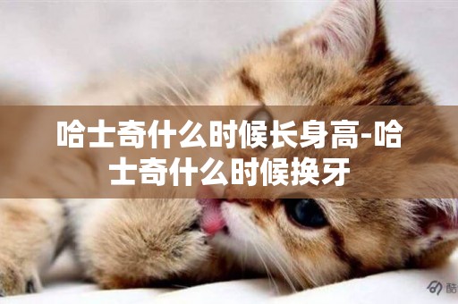 哈士奇什么時候長身高-哈士奇什么時候換牙