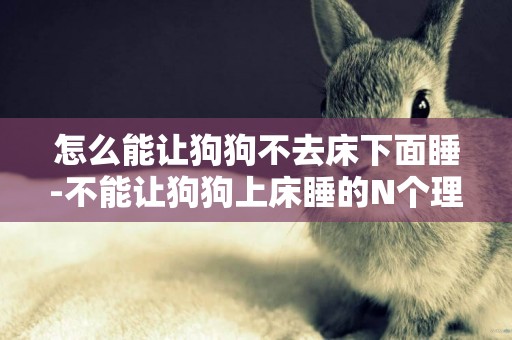 怎么能讓狗狗不去床下面睡-不能讓狗狗上床睡的N個理由