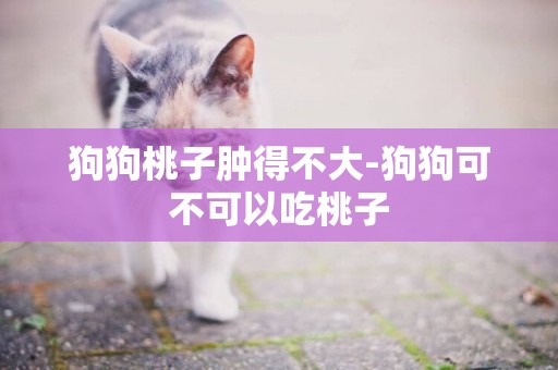 狗狗桃子腫得不大-狗狗可不可以吃桃子