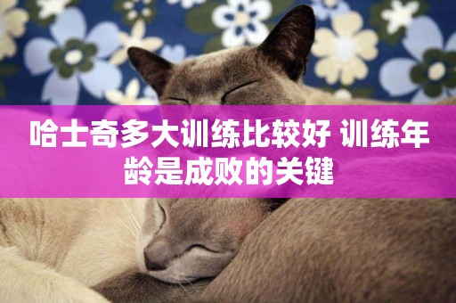 哈士奇多大訓練比較好 訓練年齡是成敗的關鍵