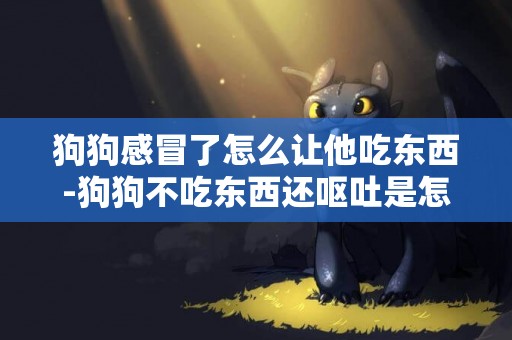 狗狗感冒了怎么讓他吃東西-狗狗不吃東西還嘔吐是怎么回事