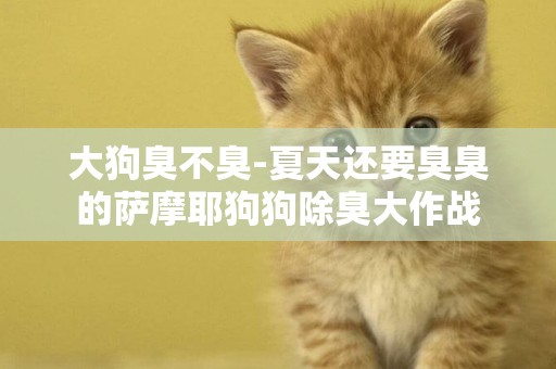 大狗臭不臭-夏天還要臭臭的薩摩耶狗狗除臭大作戰