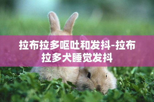 拉布拉多嘔吐和發抖-拉布拉多犬睡覺發抖