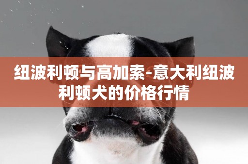 紐波利頓與高加索-意大利紐波利頓犬的價格行情