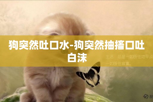 狗突然吐口水-狗突然抽搐口吐白沫