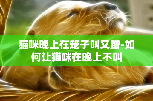 貓咪晚上在籠子叫又蹭-如何讓貓咪在晚上不叫