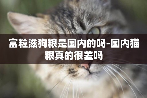 富粒滋狗糧是國內的嗎-國內貓糧真的很差嗎