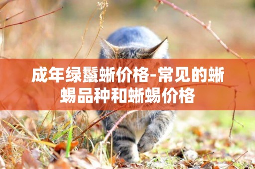 成年綠鬣蜥價格-常見的蜥蜴品種和蜥蜴價格