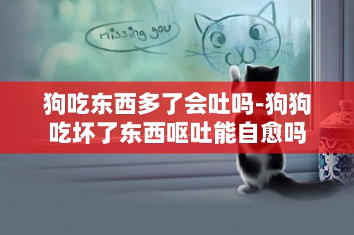 狗吃東西多了會吐嗎-狗狗吃壞了東西嘔吐能自愈嗎