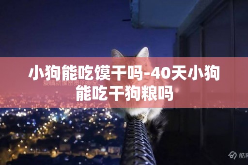 小狗能吃饃干嗎-40天小狗能吃干狗糧嗎