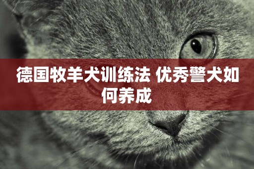 德國牧羊犬訓練法 優秀警犬如何養成