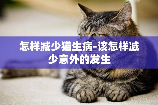 怎樣減少貓生病-該怎樣減少意外的發生