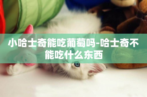 小哈士奇能吃葡萄嗎-哈士奇不能吃什么東西