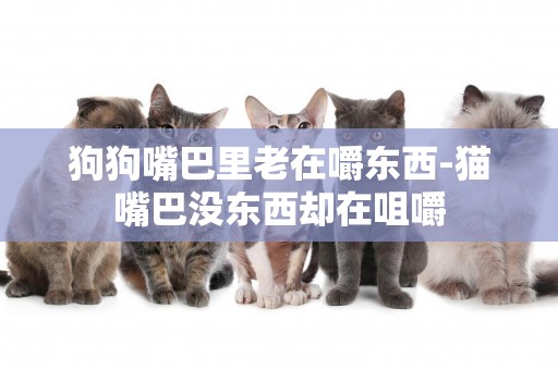 狗狗嘴巴里老在嚼東西-貓嘴巴沒東西卻在咀嚼