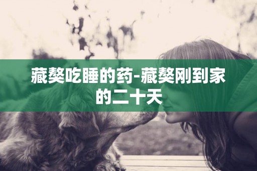 藏獒吃睡的藥-藏獒剛到家的二十天