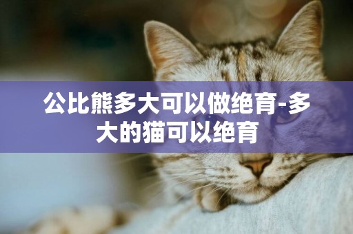 公比熊多大可以做絕育-多大的貓可以絕育