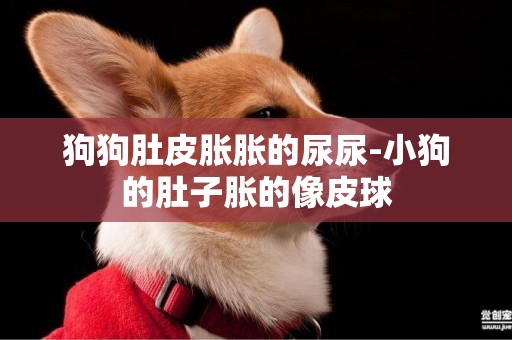 狗狗肚皮脹脹的尿尿-小狗的肚子脹的像皮球