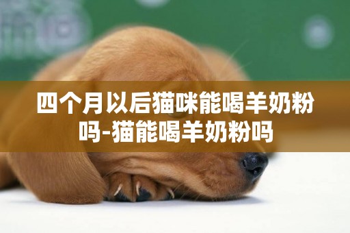 四個月以后貓咪能喝羊奶粉嗎-貓能喝羊奶粉嗎