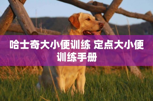 哈士奇大小便訓練 定點大小便訓練手冊