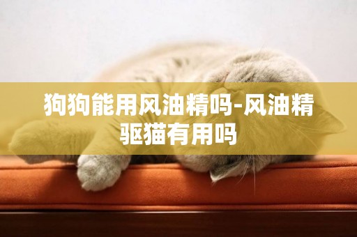 狗狗能用風油精嗎-風油精驅貓有用嗎