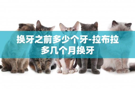 換牙之前多少個牙-拉布拉多幾個月換牙