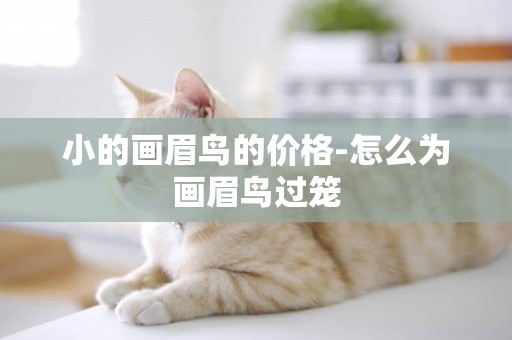 小的畫眉鳥的價格-怎么為畫眉鳥過籠