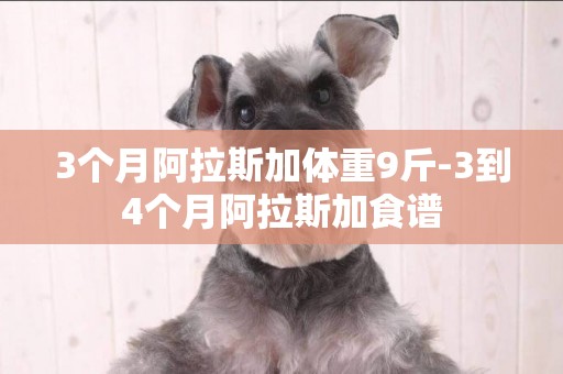 3個月阿拉斯加體重9斤-3到4個月阿拉斯加食譜