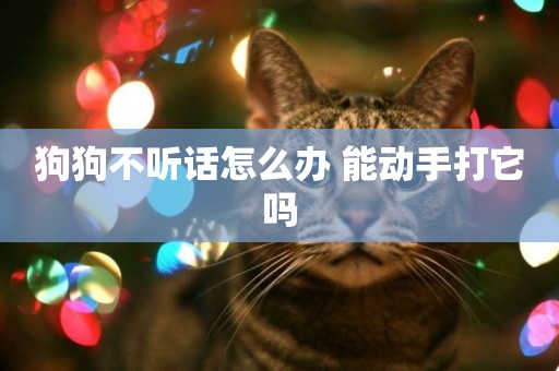 狗狗不聽話怎么辦 能動手打它嗎